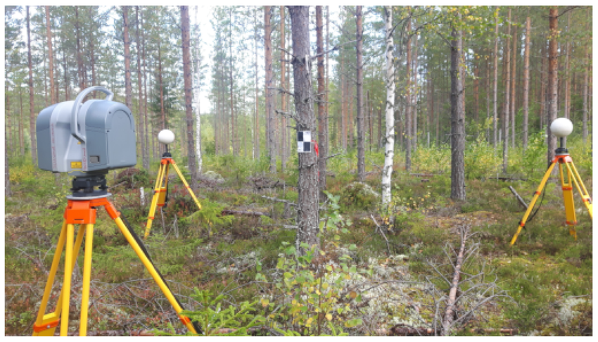 Scanning using targets
