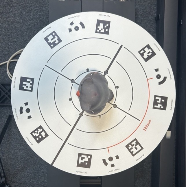 Owl on Rigster plate